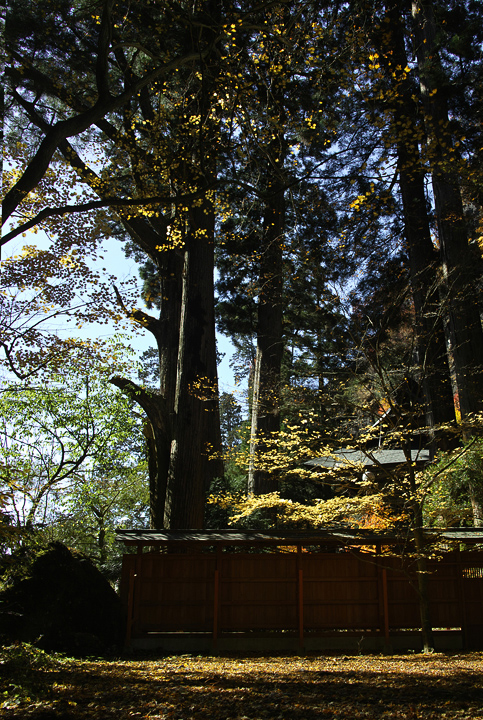 b0286898_20582249.jpg