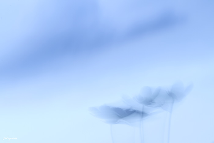f0185802_9281830.jpg
