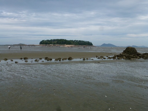 a0140305_2575054.jpg