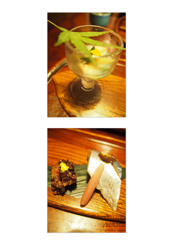 e0308105_1317398.png
