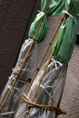 f0041606_1617454.jpg