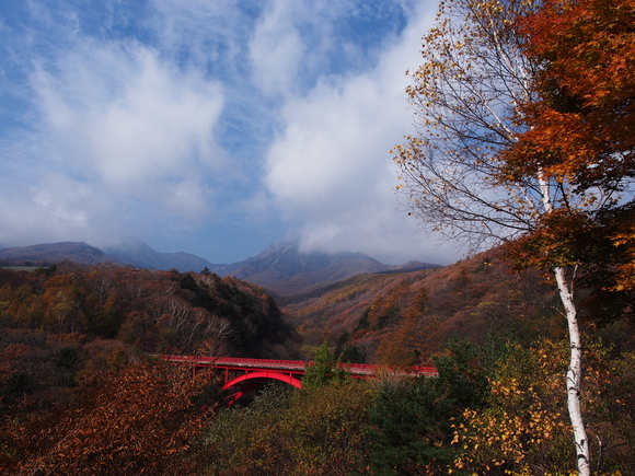 f0302208_14255681.jpg