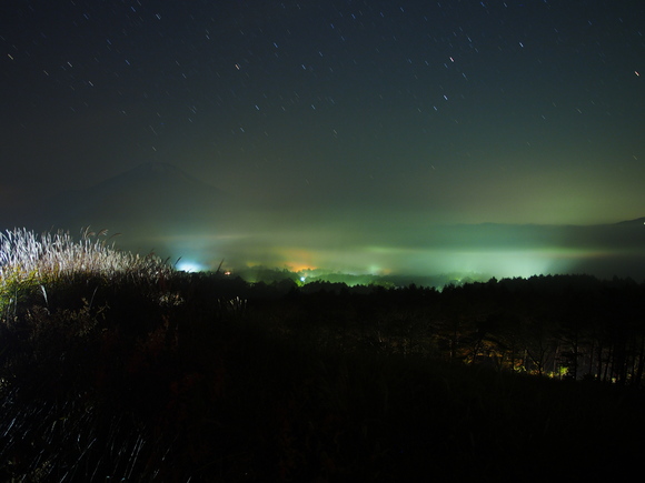 f0302208_1451134.jpg
