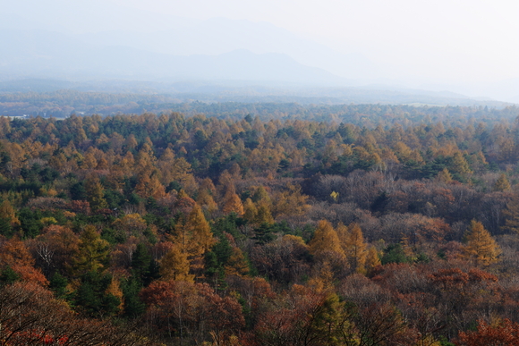 f0302208_1531899.jpg