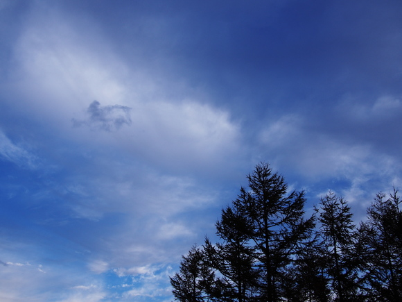 f0302208_20175095.jpg