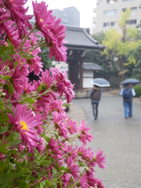 c0062511_9105.jpg
