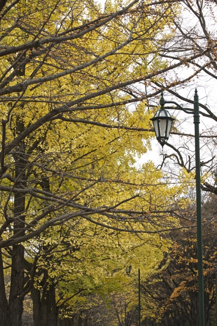 c0153411_17292641.jpg