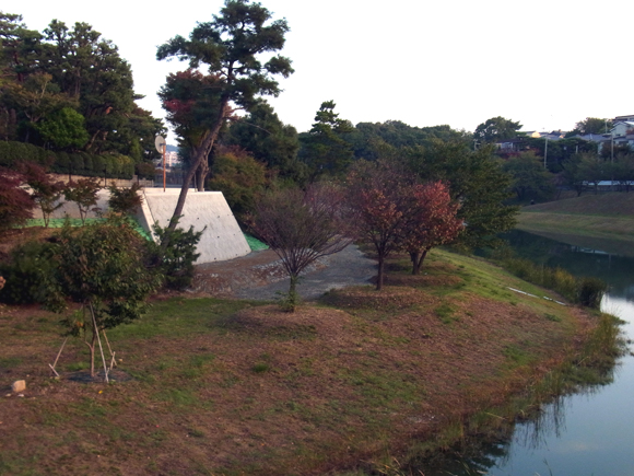 e0083517_0323395.jpg