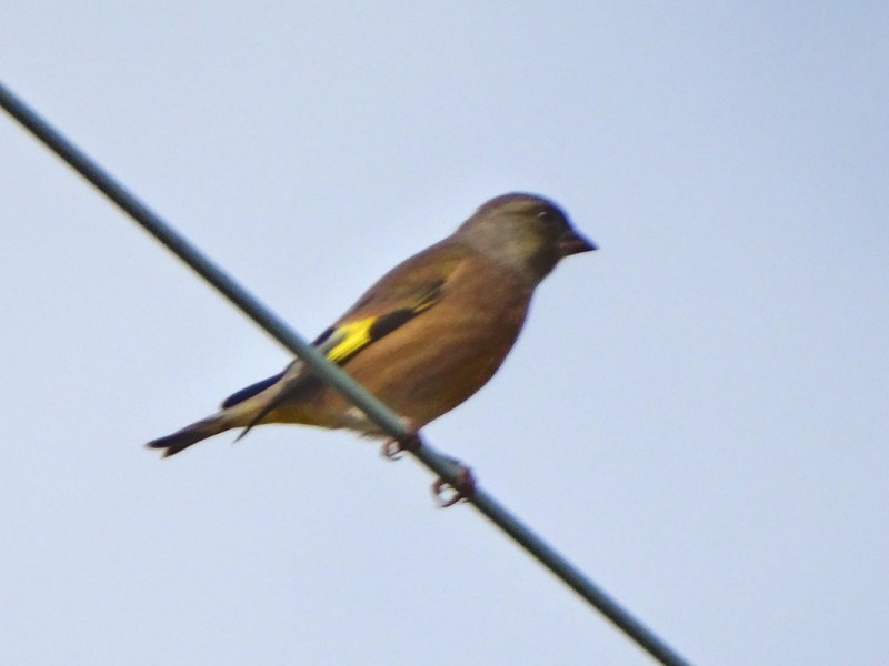 c0042418_8531100.jpg