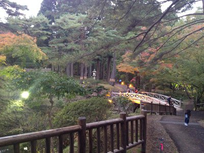 b0121019_20423777.png