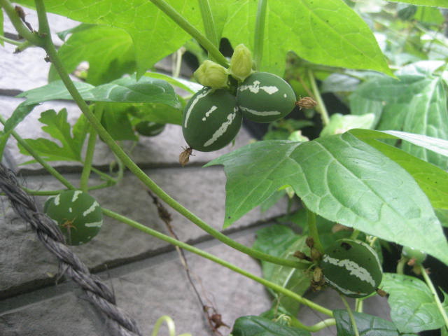 f0139520_020041.jpg