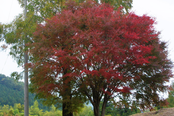 b0279623_9535464.jpg