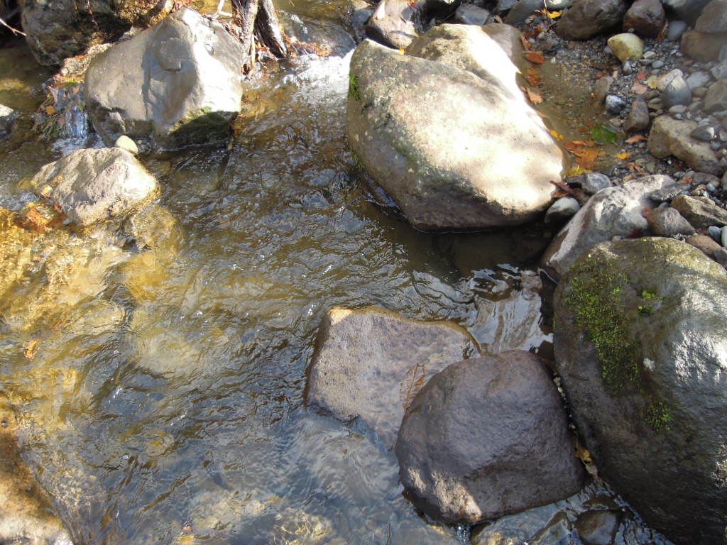e0147226_21423439.jpg