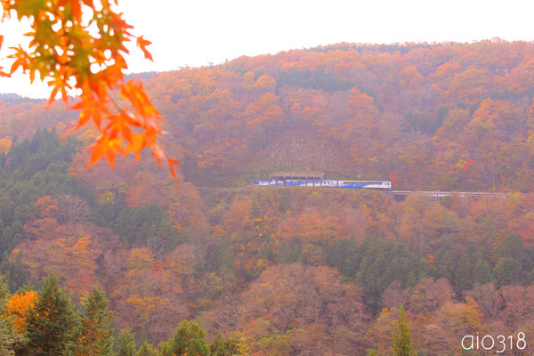 b0304227_73874.jpg