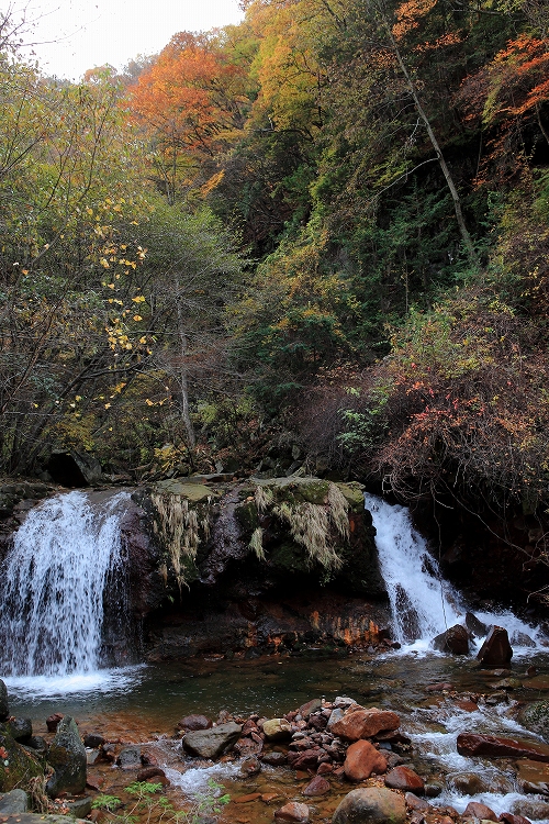 e0303527_23355342.jpg