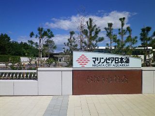 b0102728_10511148.jpg
