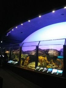 b0102728_10574843.jpg