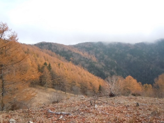 c0263829_12364045.jpg