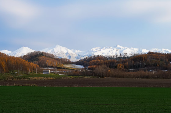 e0025030_8251272.jpg