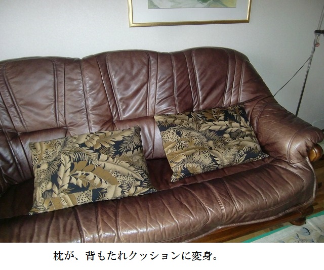c0123031_11152751.jpg