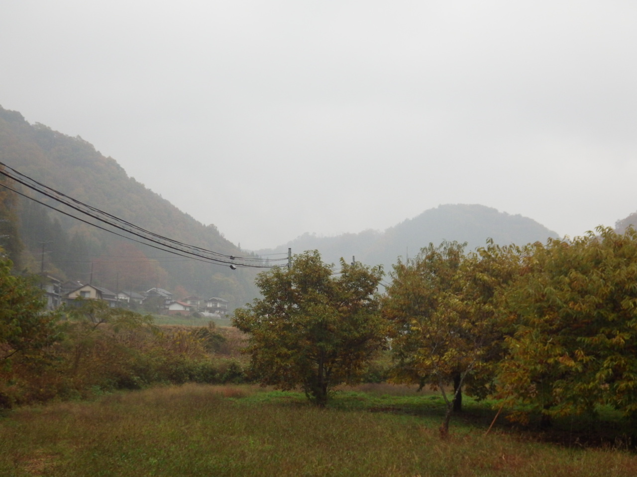 c0300035_1110431.jpg