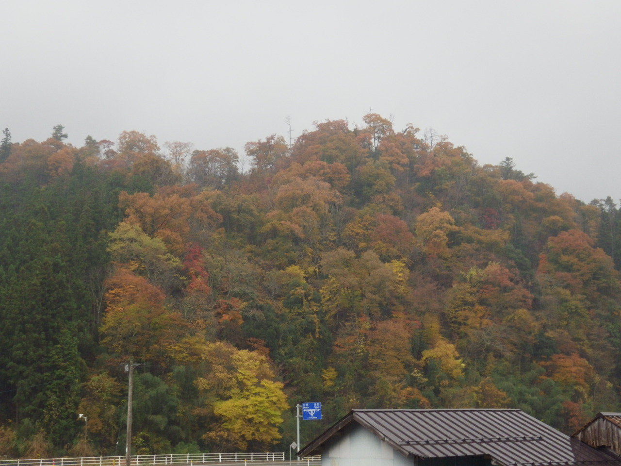 c0300035_1193624.jpg