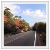 d0088735_10115513.jpg