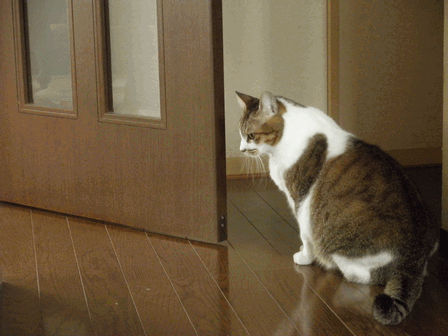 c0136736_17174585.gif