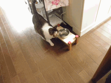 c0136736_1718333.gif