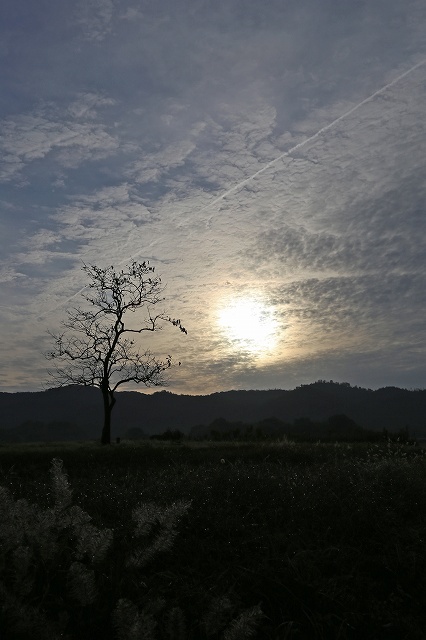 a0242438_19354537.jpg