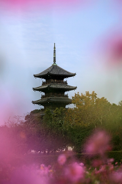 a0242438_19364192.jpg