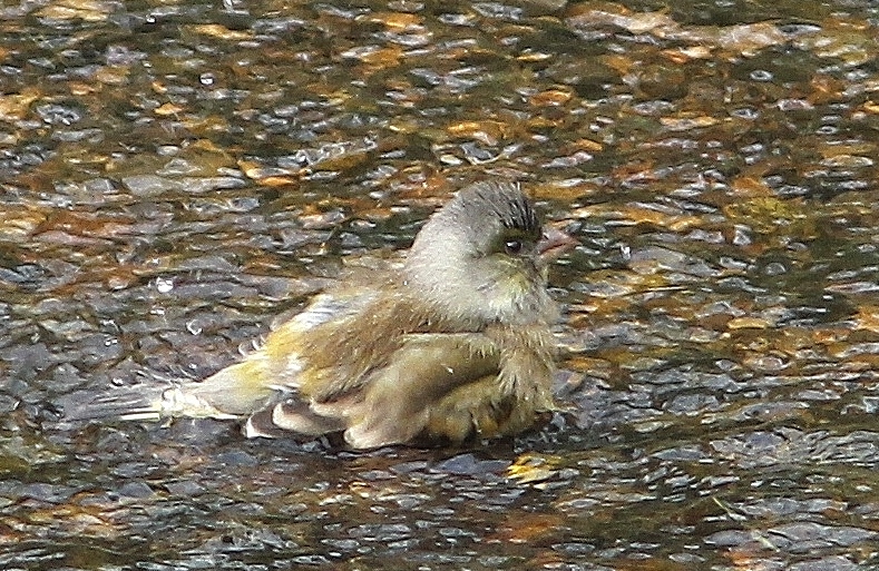 c0172139_1212172.jpg