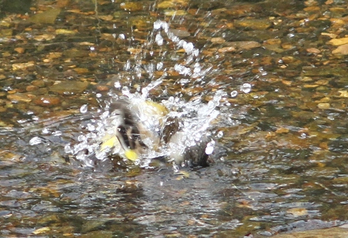 c0172139_1224868.jpg
