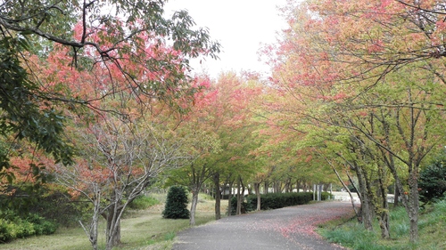 c0172139_23281231.jpg