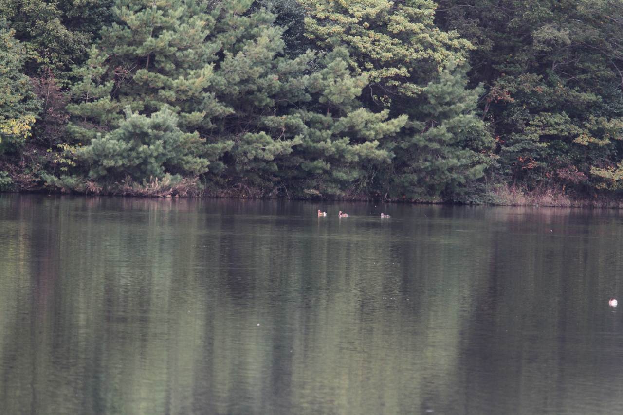 c0172139_23381074.jpg