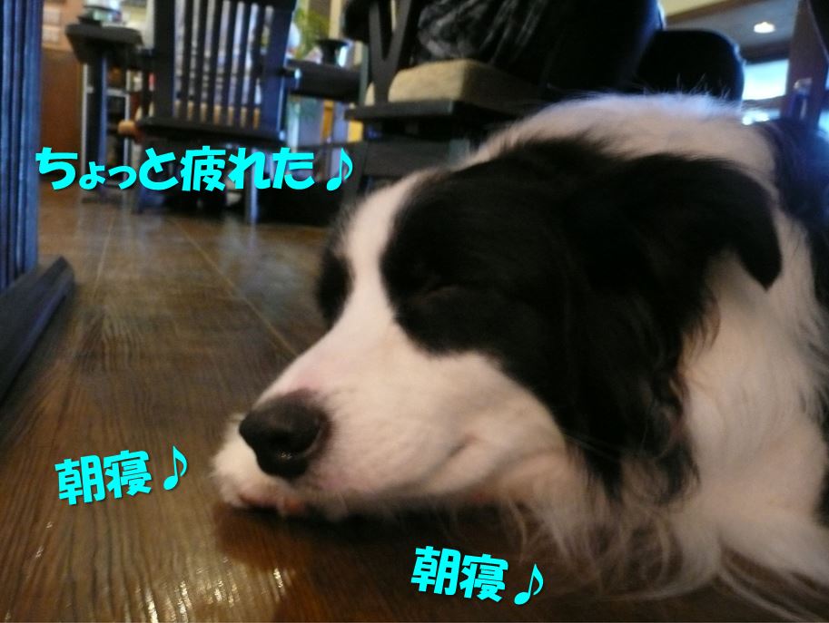 c0147241_20113425.jpg