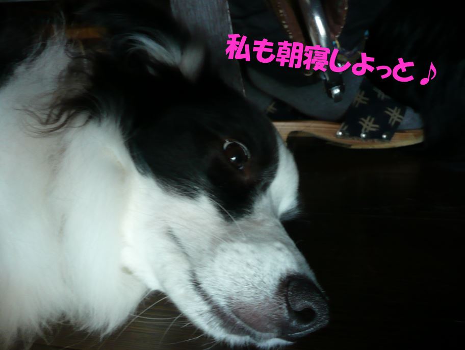 c0147241_20115510.jpg