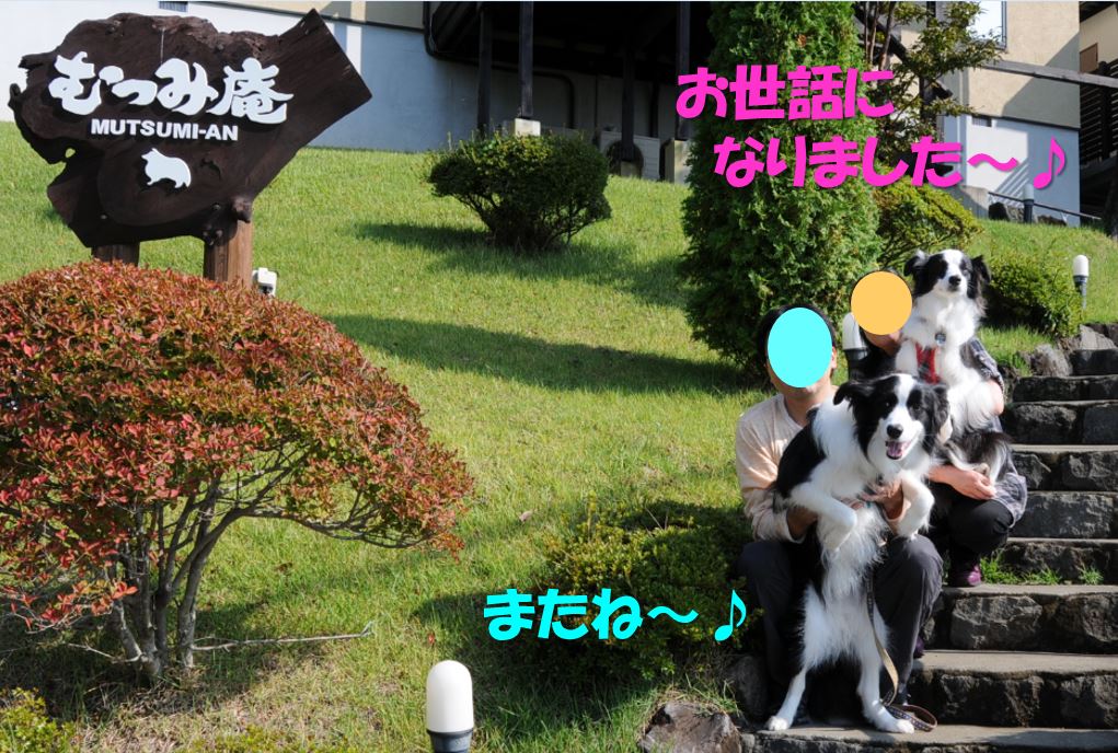 c0147241_2012346.jpg