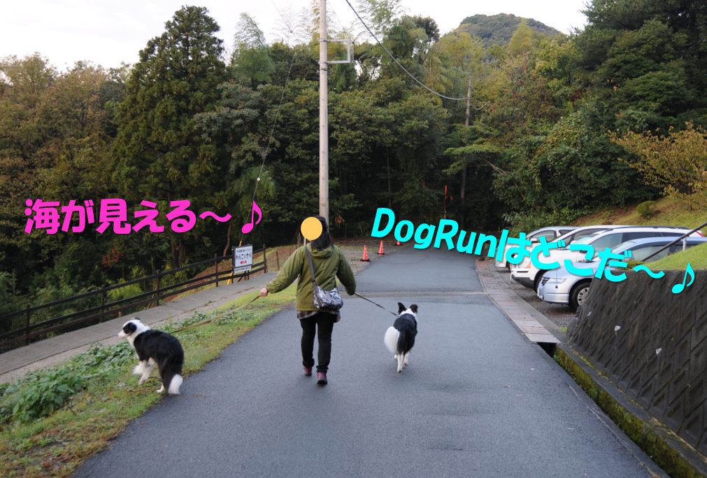 c0147241_2083263.jpg