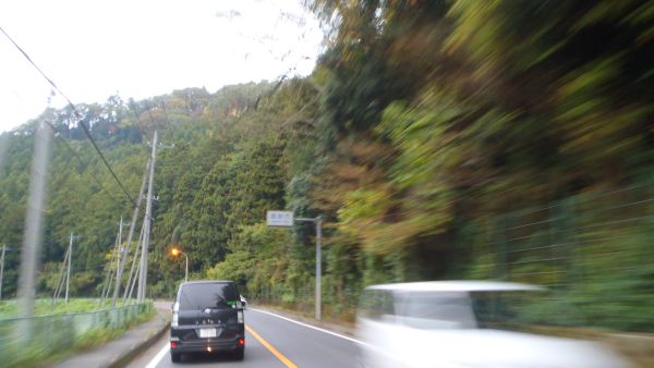 e0086244_1743511.jpg