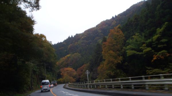 e0086244_174441.jpg