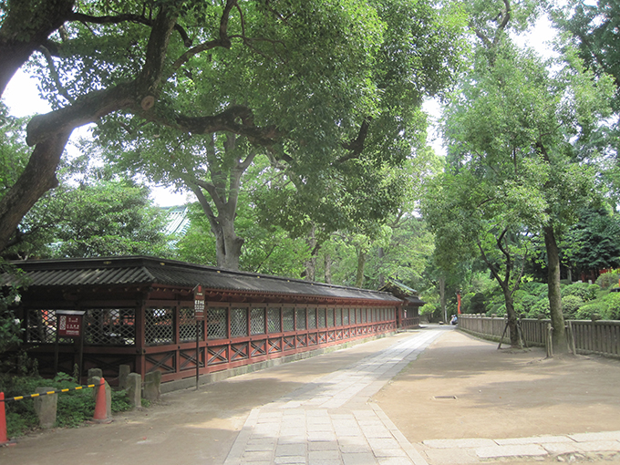 b0203645_3444866.jpg