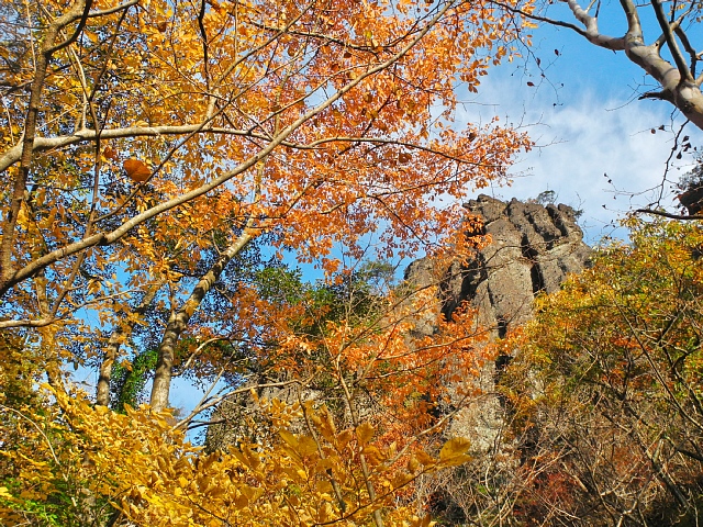 b0122448_16110424.jpg