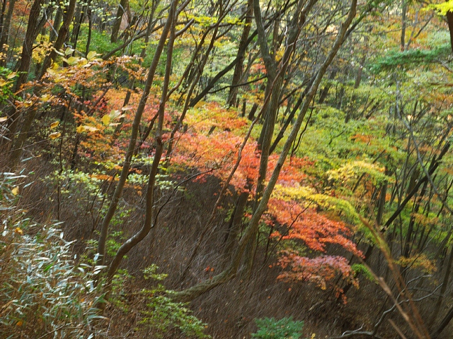 b0122448_16113070.jpg