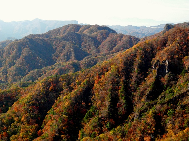 b0122448_16151227.jpg