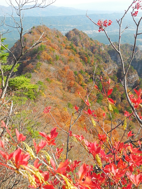 b0122448_16160927.jpg