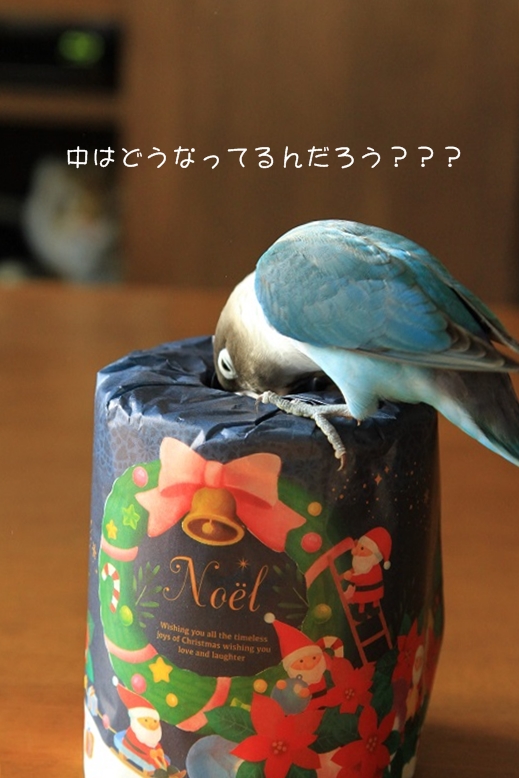 c0145250_15335666.jpg