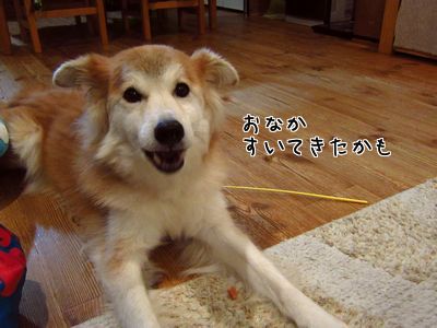 e0019550_2121527.jpg