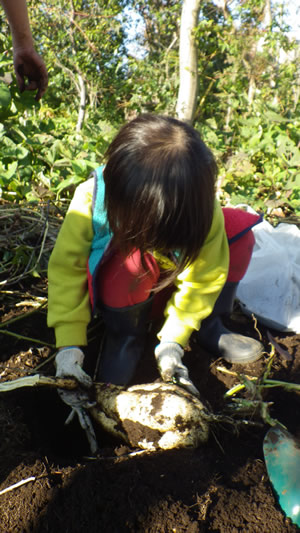 f0223360_07448.jpg