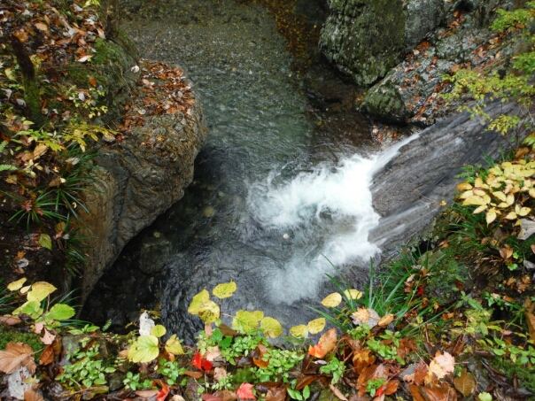 b0304662_21555541.jpg